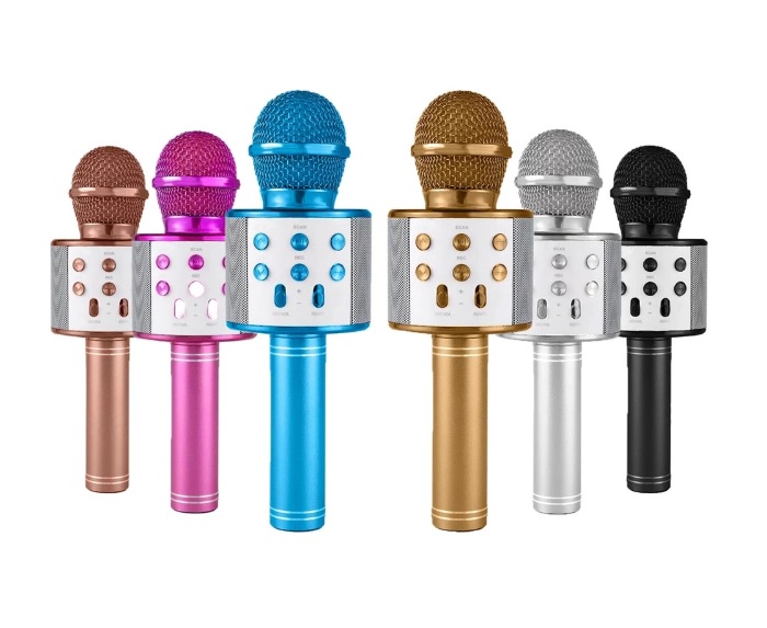 WS858 KARAOKE MIKROFON